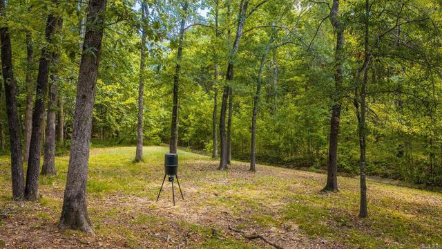 5715 Spencer Lake, Conway, AR 72034