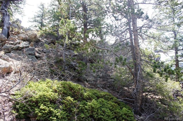 00 County Rd 308, Idaho Springs, CO 80436