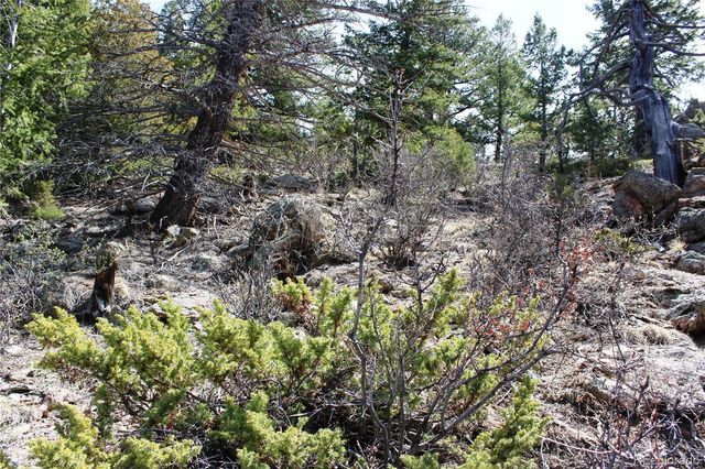 00 County Rd 308, Idaho Springs, CO 80436