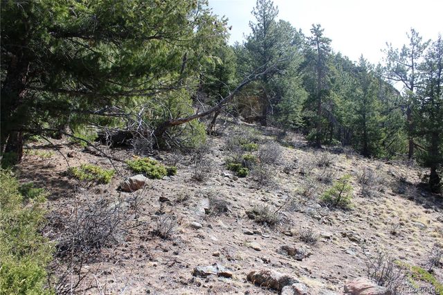 00 County Rd 308, Idaho Springs, CO 80436
