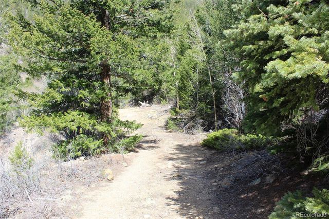 00 County Rd 308, Idaho Springs, CO 80436
