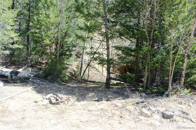 00 County Rd 308, Idaho Springs, CO 80436