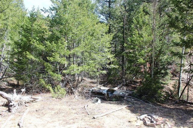 00 County Rd 308, Idaho Springs, CO 80436