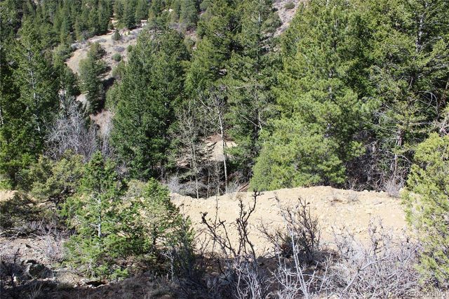 00 County Rd 308, Idaho Springs, CO 80436