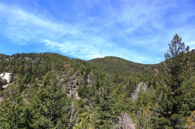 00 County Rd 308, Idaho Springs, CO 80436
