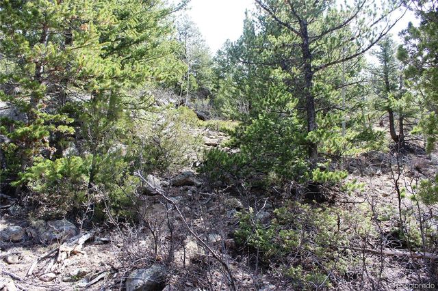00 County Rd 308, Idaho Springs, CO 80436