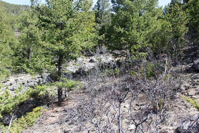 00 County Rd 308, Idaho Springs, CO 80436