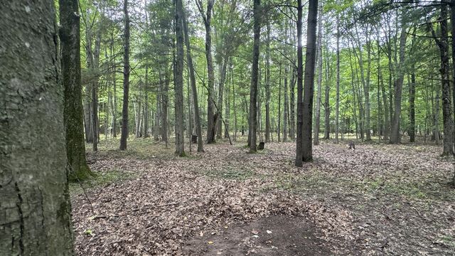 2404 Bialik Road, Manistee, MI 49660