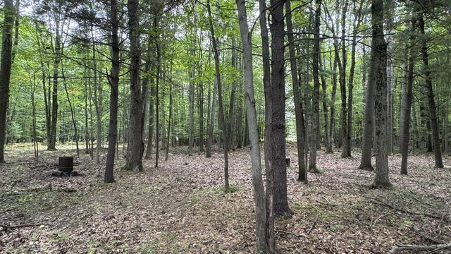 2404 Bialik Road, Manistee, MI 49660