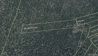 000 Silver Dollar Lode, Georgetown, CO 80444