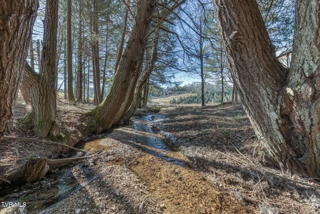 240 Phil Arnett Road, Roan Mountain, TN 37687