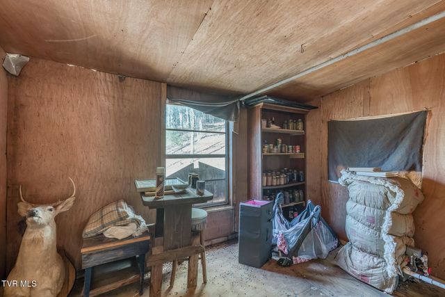 240 Phil Arnett Road, Roan Mountain, TN 37687