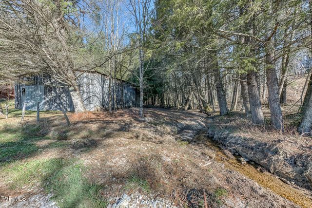 240 Phil Arnett Road, Roan Mountain, TN 37687