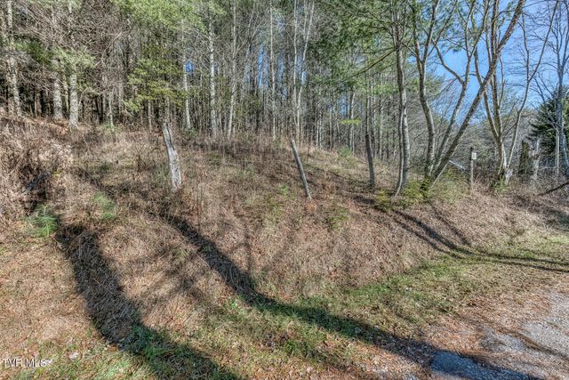240 Phil Arnett Road, Roan Mountain, TN 37687