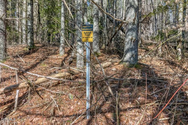 240 Phil Arnett Road, Roan Mountain, TN 37687