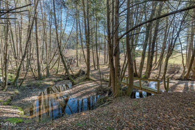 240 Phil Arnett Road, Roan Mountain, TN 37687