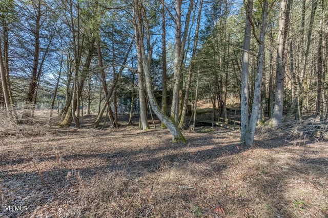 240 Phil Arnett Road, Roan Mountain, TN 37687