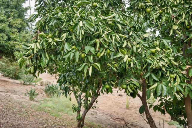 2719 Via Del Robles, Fallbrook, CA 92028