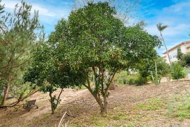 2719 Via Del Robles, Fallbrook, CA 92028