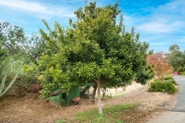 2719 Via Del Robles, Fallbrook, CA 92028