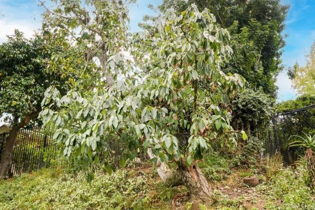 2719 Via Del Robles, Fallbrook, CA 92028