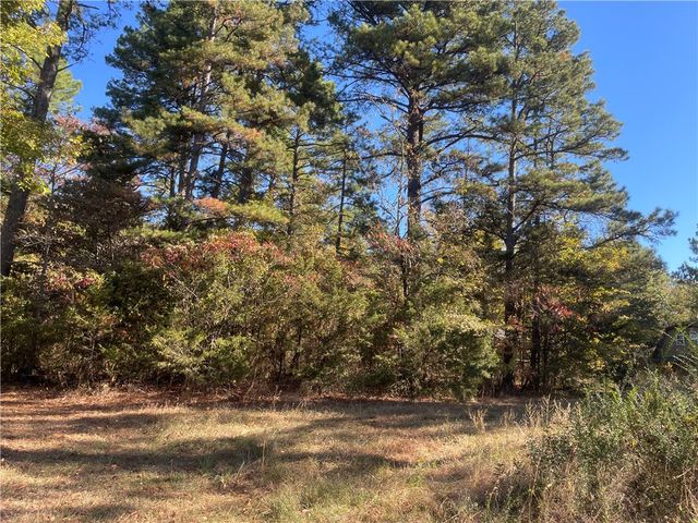 958 Sr 164, Dover, AR 72843