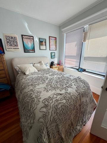 5 Winchester 202, Brookline, MA 02446