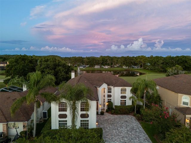 15615 SHOAL CREEK PLACE, Odessa, FL 33556