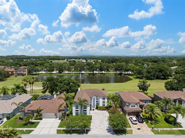 15615 SHOAL CREEK PLACE, Odessa, FL 33556