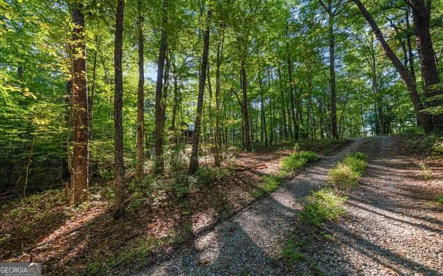 150 Laurel Trace, Blue Ridge, GA 30513