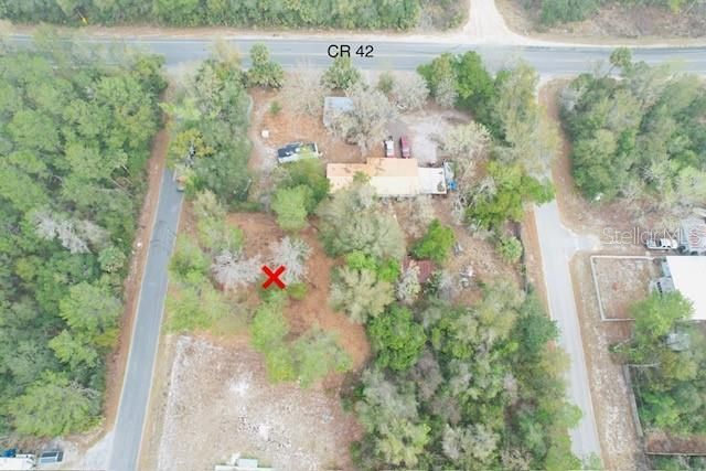 PALM STREET, Paisley, FL 32767