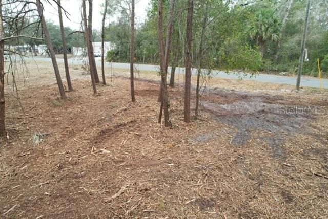 PALM STREET, Paisley, FL 32767