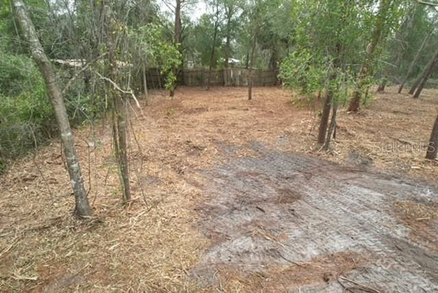 PALM STREET, Paisley, FL 32767