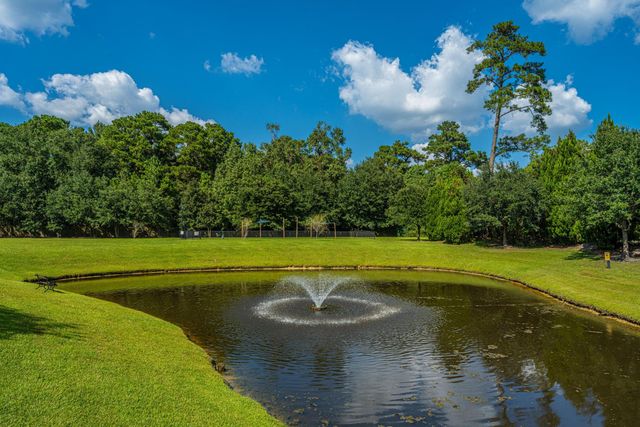 213 Hemingway Circle, Summerville, SC 29483