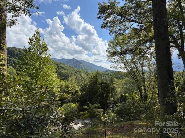 28 Wake Street, Waynesville, NC 28786