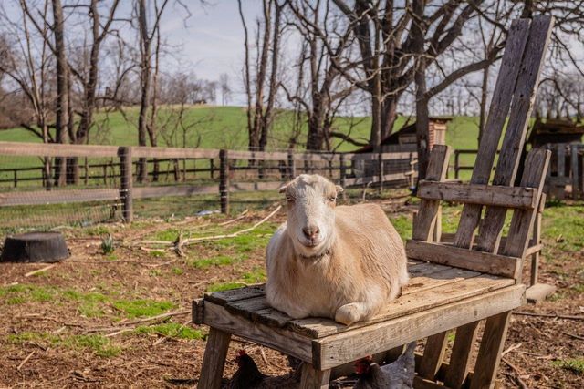 3844 STUARTS DRAFT HWY, Waynesboro, VA 22980