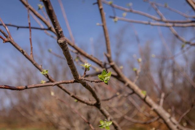 3844 STUARTS DRAFT HWY, Waynesboro, VA 22980