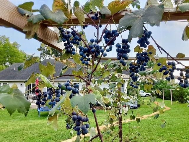 3844 STUARTS DRAFT HWY, Waynesboro, VA 22980