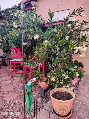 17247 N JAVELINA Drive, Surprise, AZ 85374