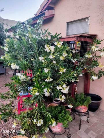 17247 N JAVELINA Drive, Surprise, AZ 85374