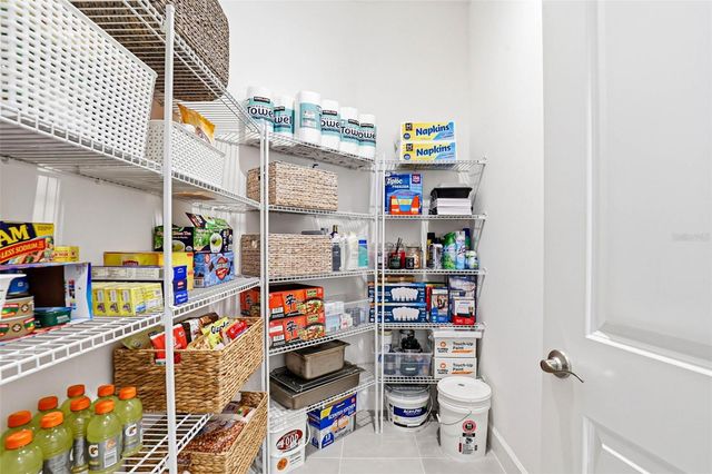 32490 TREE OF LIFE AVENUE, Wesley Chapel, FL 33543