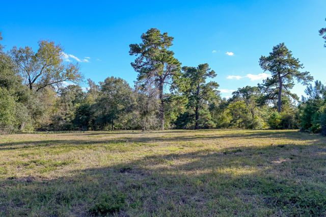 280 ACRES Spring Branch Road, Montgomery, TX 77316