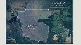 280 ACRES Spring Branch Road, Montgomery, TX 77316