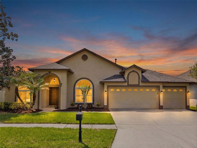 10017 OXFORD CHAPEL DRIVE, Tampa, FL 33647