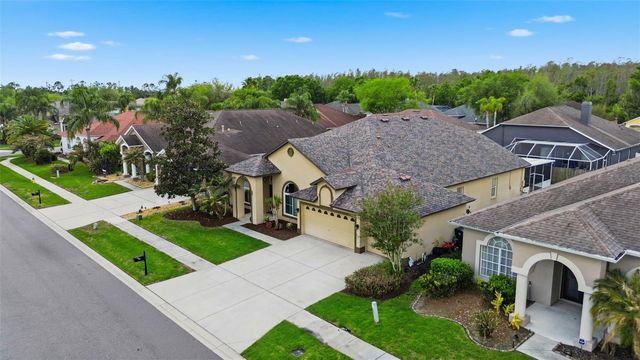 10017 OXFORD CHAPEL DRIVE, Tampa, FL 33647