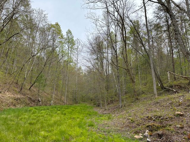 43 Deer Run Lane, Campton, KY 41301