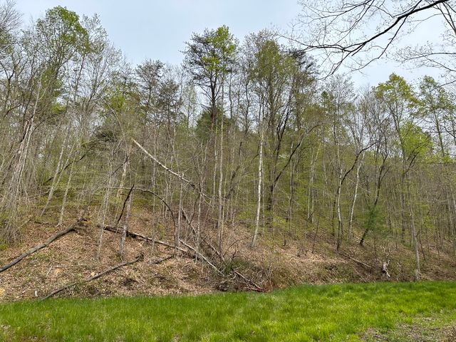 43 Deer Run Lane, Campton, KY 41301