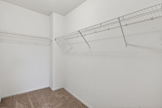 1120 Coneflower Court, Minooka, IL 60447