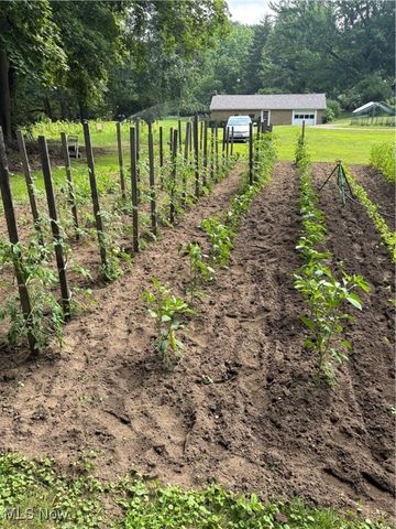 1714 W Jackson Street, Painesville Twp, OH 44077