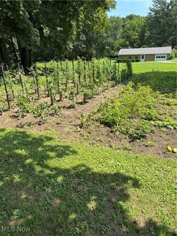 1714 W Jackson Street, Painesville Twp, OH 44077